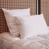 paire de coussins semi-fermes blancs