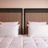 4 coussins semi-fermes blancs