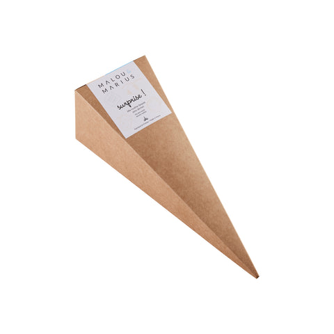 surprise cone